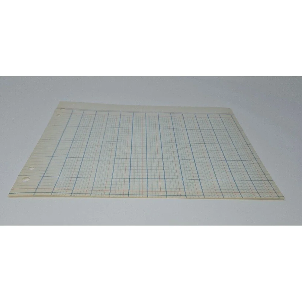 Accounting Ledger 50 Sheets Double Sided 24 Columns 9.25